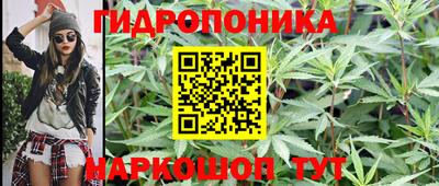mix Будённовск