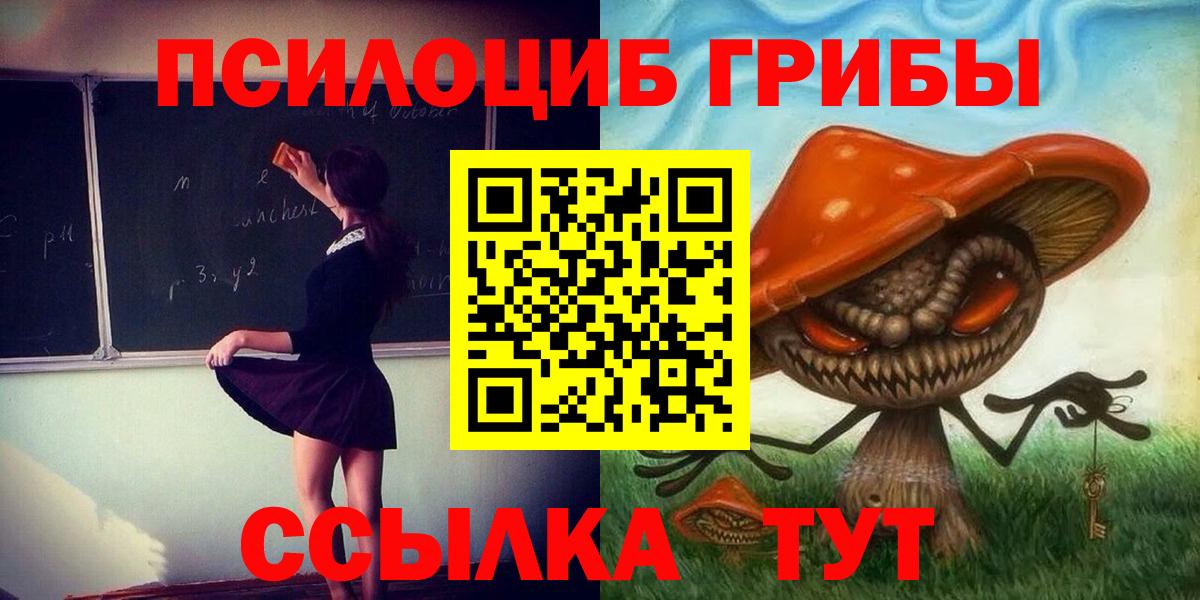 Шарыпово  Псилоцибиновые грибы Psilocybine cubensis  Вход с VPN 