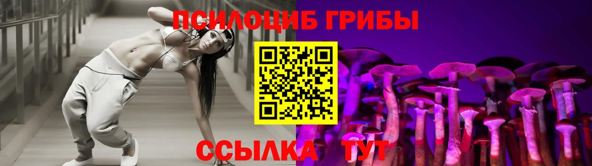 Псилоцибиновые грибы Psilocybe Шарыпово